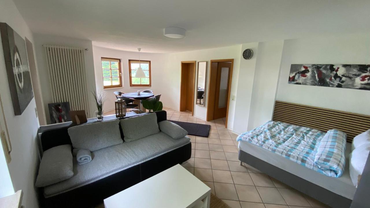 Apartment Baerenfelsblick Wehr (Baden-Wurttemberg)