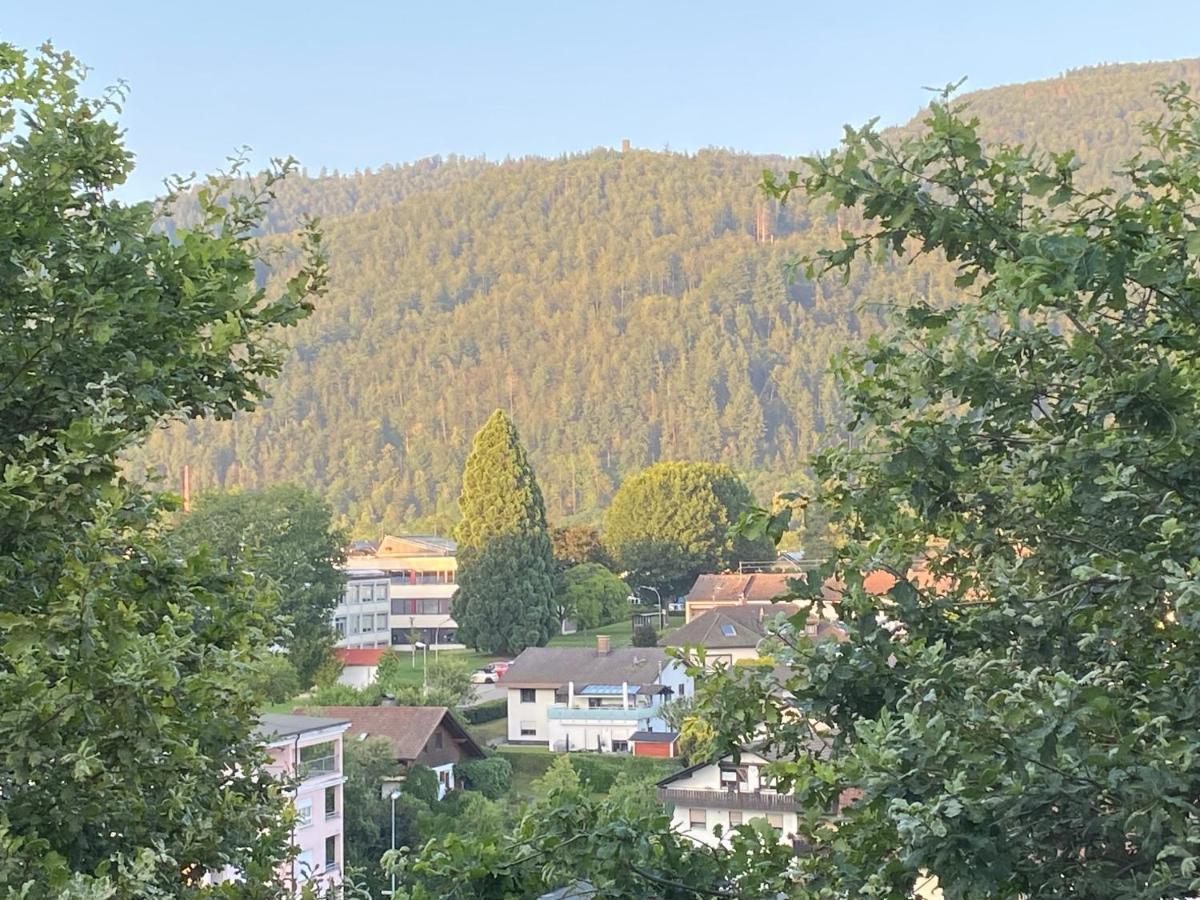 Apartment Baerenfelsblick Wehr (Baden-Wurttemberg)